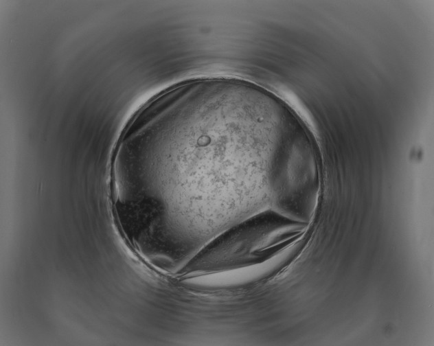 X0000090781388200708031705