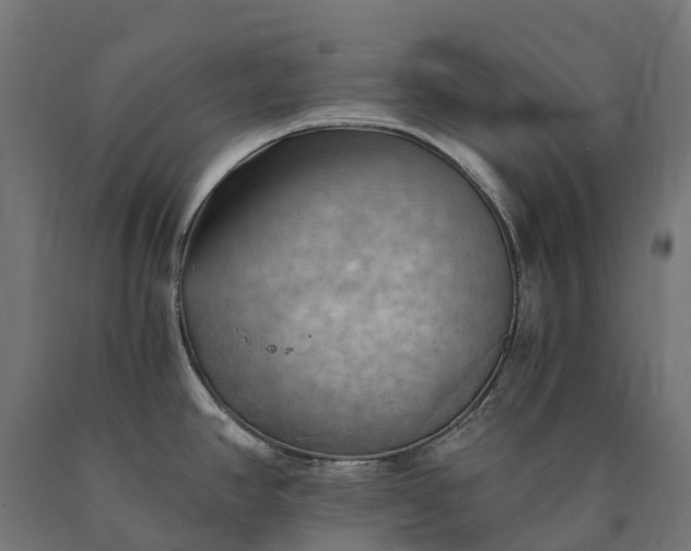 X0000090781390200708031705