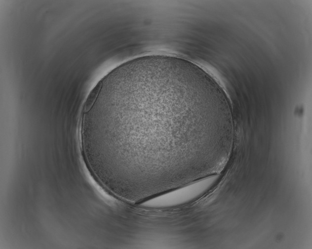 X0000090781391200708031705