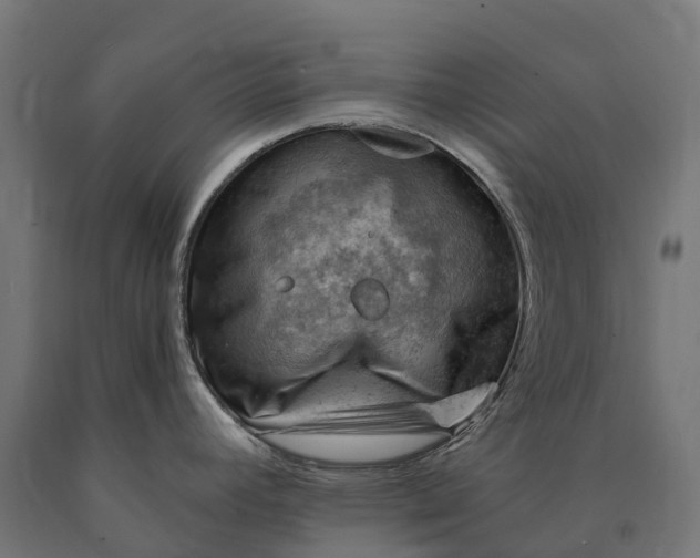 X0000090781392200708031705