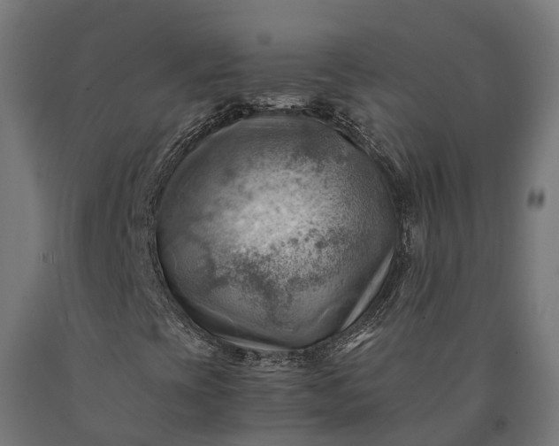 X0000090781393200708031704