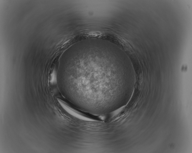 X0000090781394200708031704
