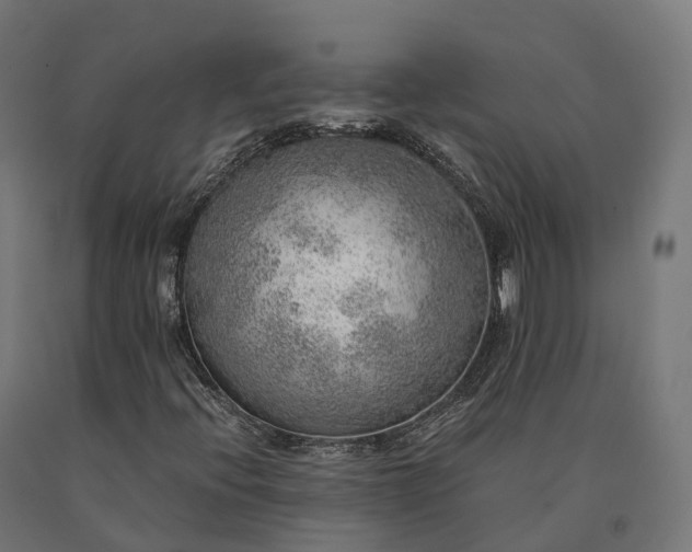 X0000090781396200708031704