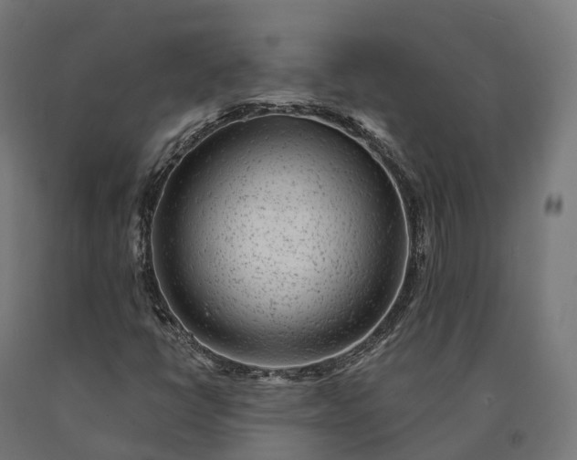 X0000090781398200708031704