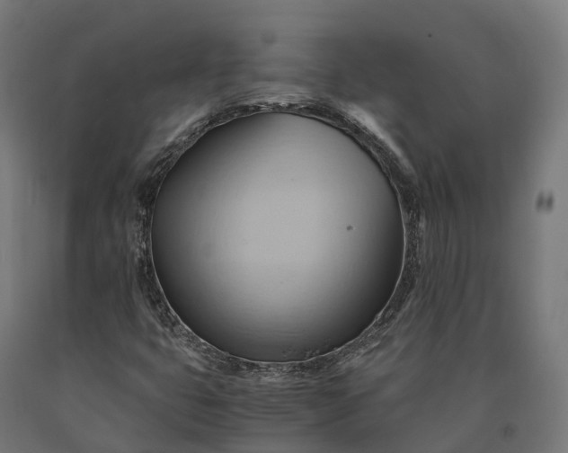 X0000090781399200708031704
