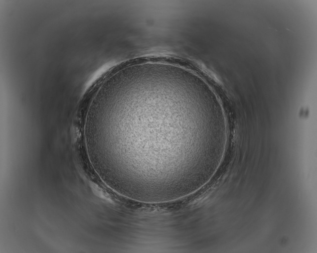 X0000090781400200708031704