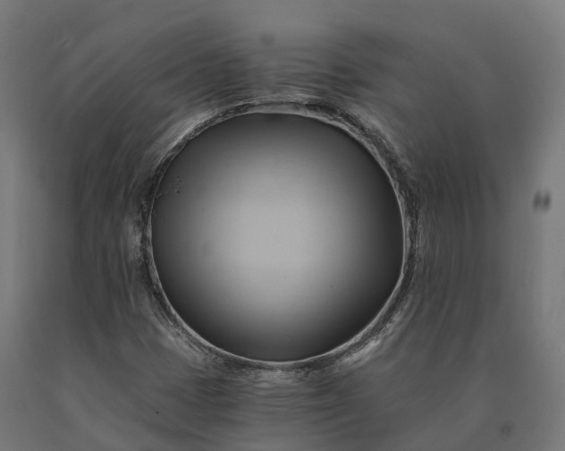 X0000090781401200708031704