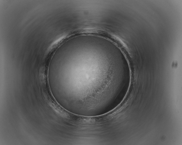 X0000090781403200708031704