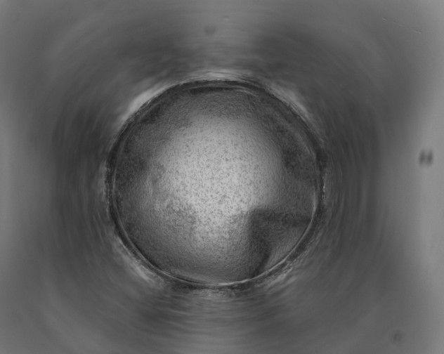 X0000090781404200708031704