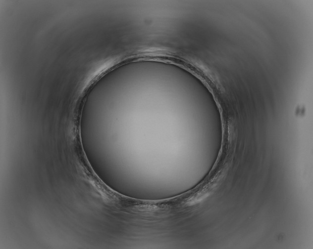X0000090781405200708031704