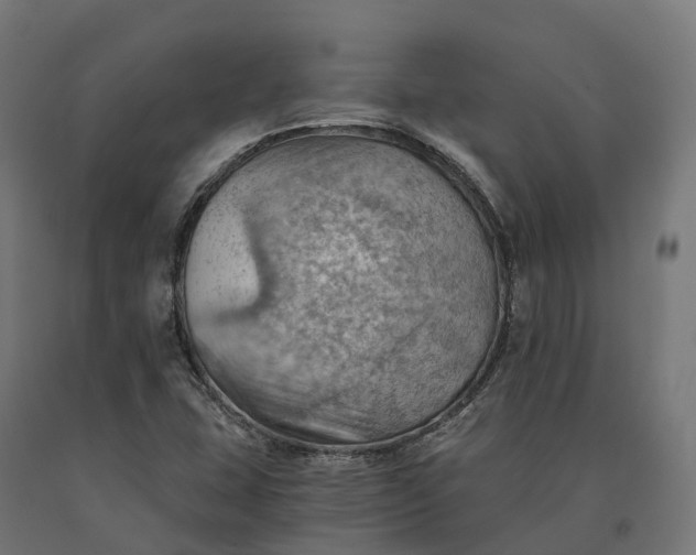 X0000090781407200708031704
