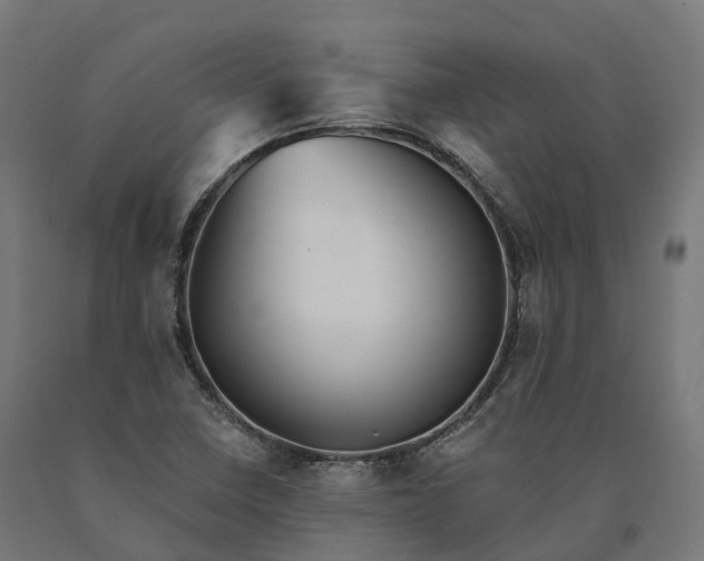 X0000090781410200708031705