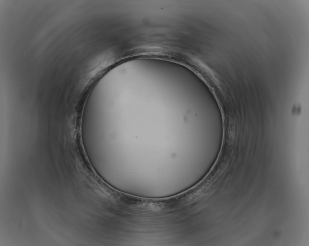 X0000090781411200708031705
