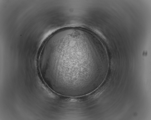 X0000090781412200708031705