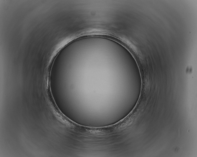 X0000090781413200708031705