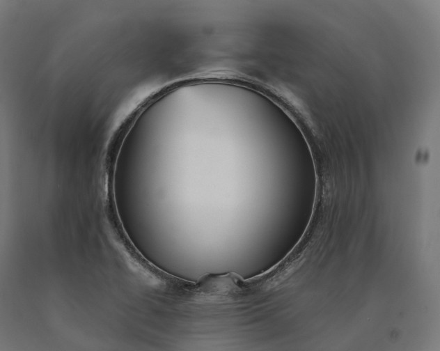 X0000090781414200708031705