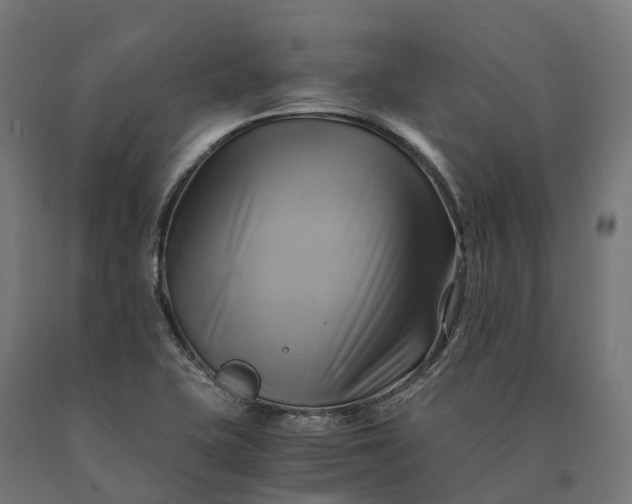 X0000090781415200708031705