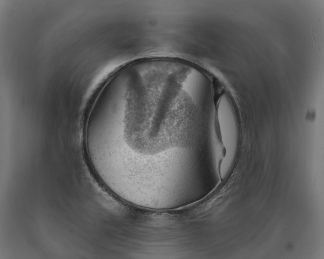 X0000090781416200708031705