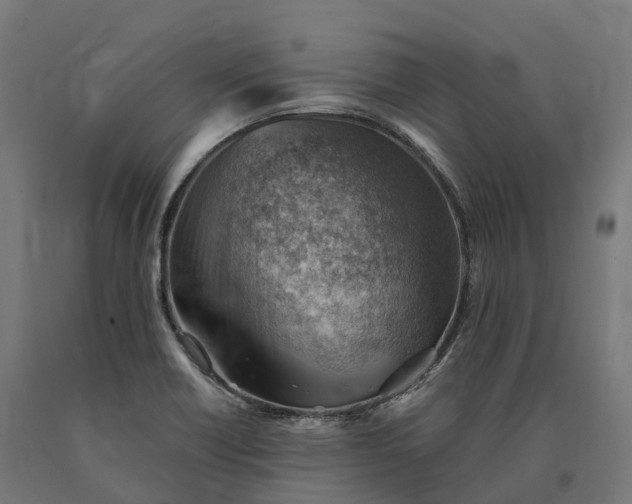 X0000090781418200708031705