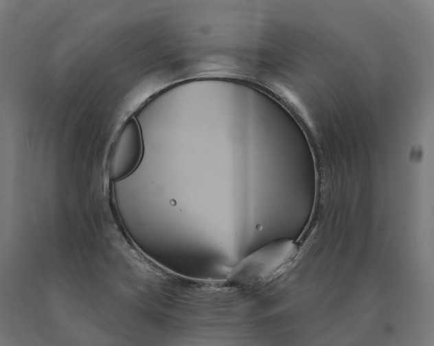 X0000090781419200708031705
