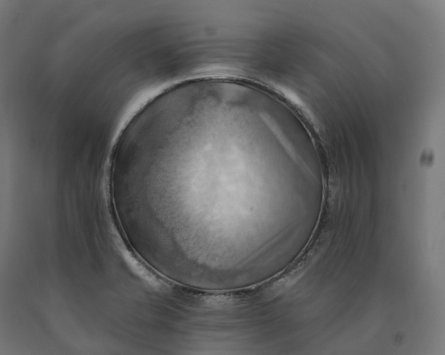 X0000090781421200708031705