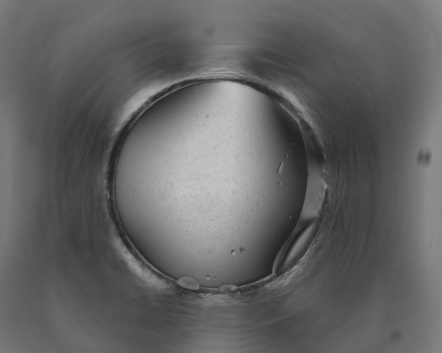 X0000090781422200708031705