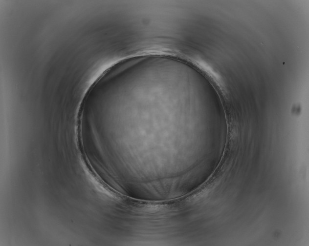 X0000090781423200708031705