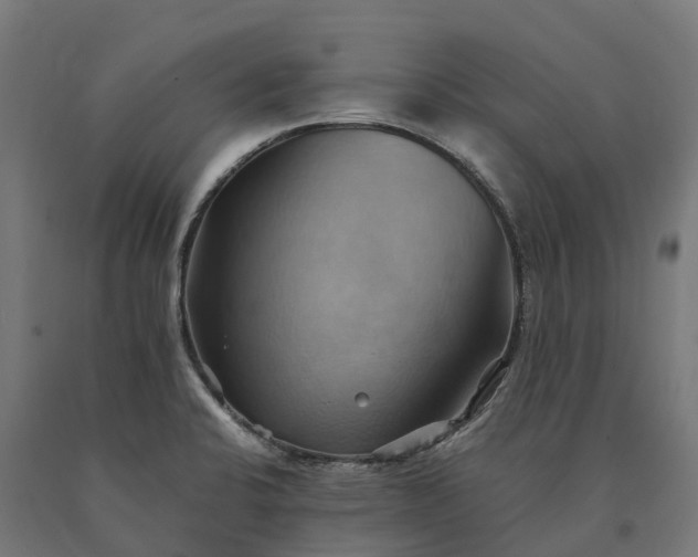 X0000090781424200708031705