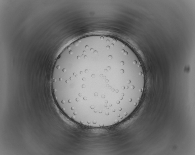 X0000090781425200708031705