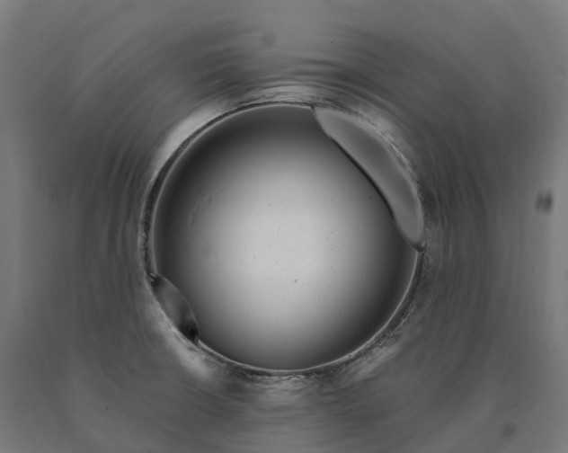 X0000090781426200708031705