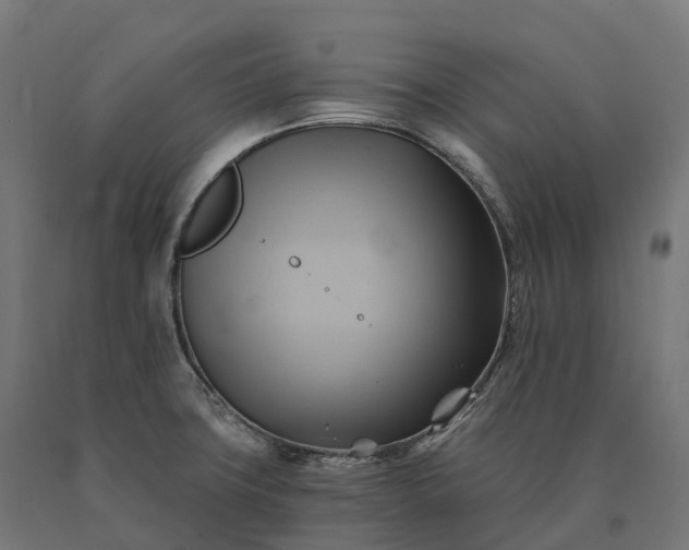 X0000090781427200708031705