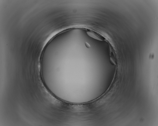 X0000090781428200708031705