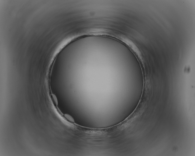 X0000090781429200708031705