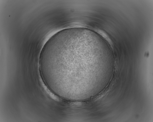 X0000090781431200708031705