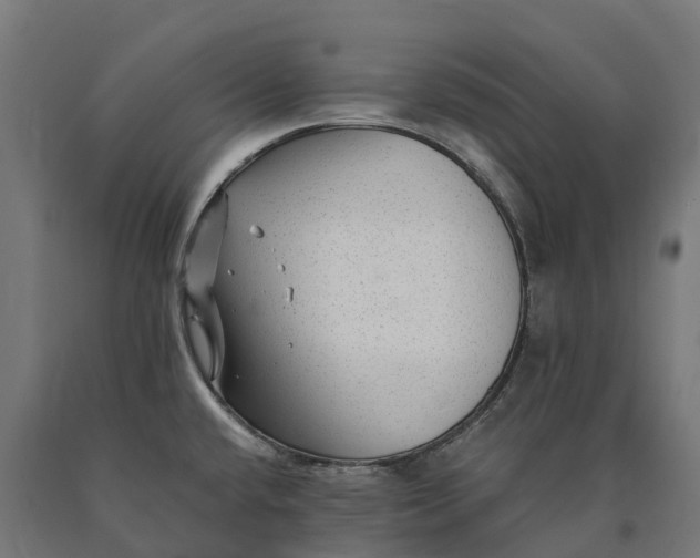 X0000090781432200708031705
