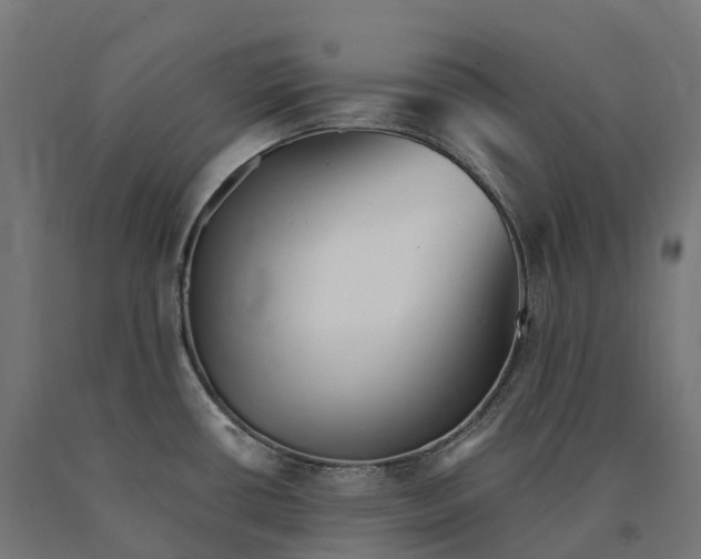 X0000090781434200708031705
