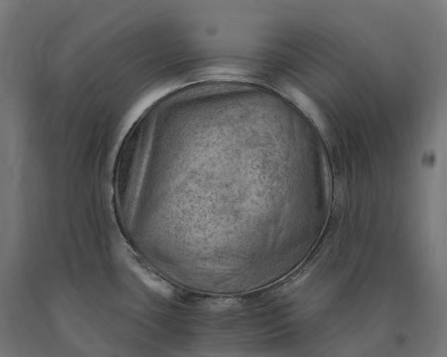 X0000090781435200708031705