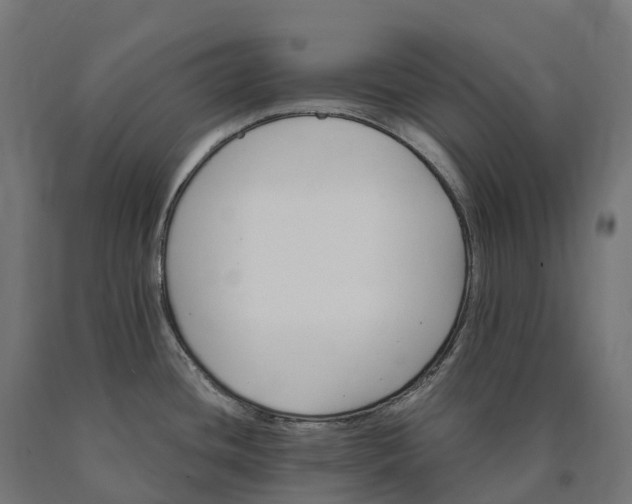X0000090781436200708031705