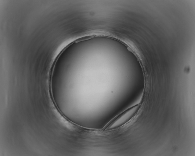 X0000090781438200708031705