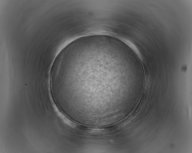 X0000090781439200708031705