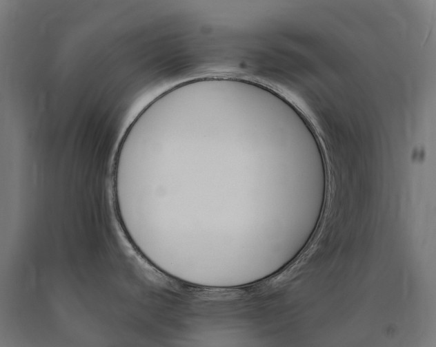 X0000090781440200708031705