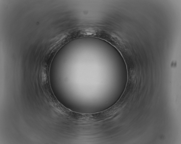 X0000090781442200708031704