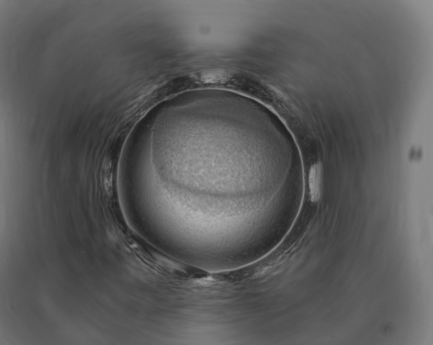X0000090781443200708031704