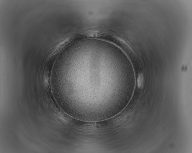 X0000090781444200708031704
