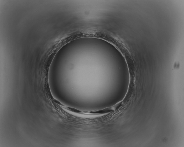 X0000090781445200708031704