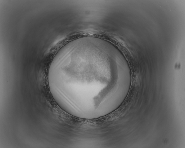 X0000090781446200708031704
