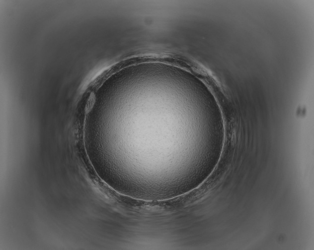 X0000090781448200708031704