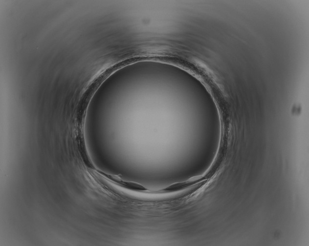 X0000090781449200708031704