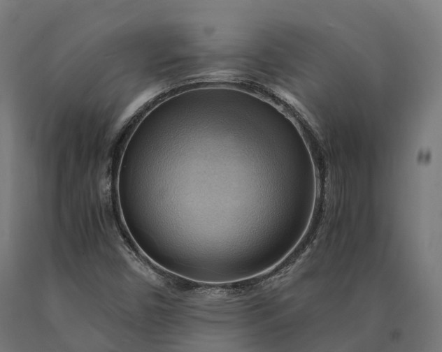 X0000090781450200708031704