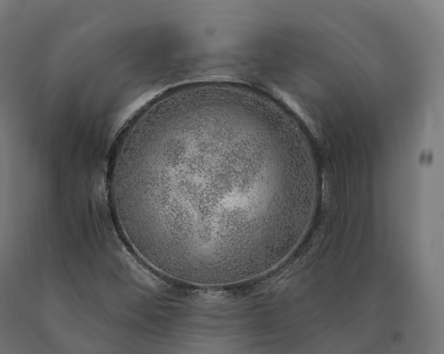 X0000090781452200708031704